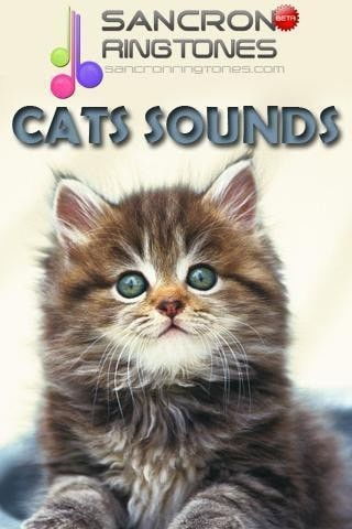 猫的声音铃声app下载 猫的声音铃声安卓版下载 v4.5 跑跑车安卓网 