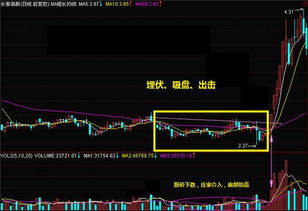 请问股票具体是什么来的，为什么会有股票的产生