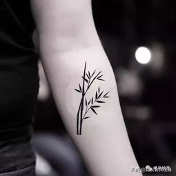 纹身素材 竹子纹身图案 