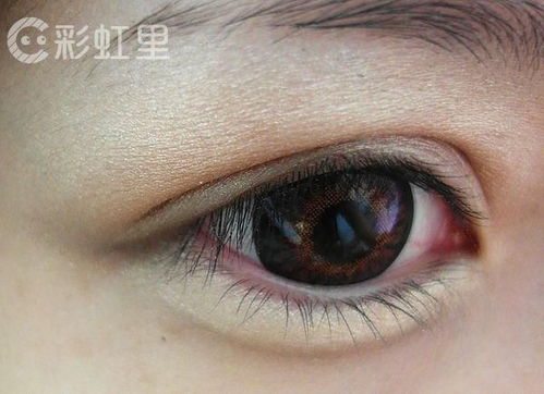 卧蚕眼妆画法详解 美妆博主教你画精致优雅卧蚕眼妆 