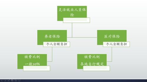 社会保险法关于社保补缴的规定(社会保险法补缴滞纳金)