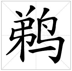 女字加弟字是什么字