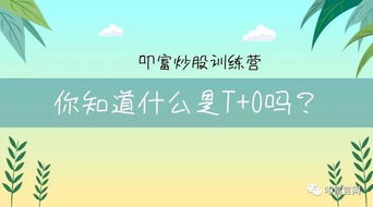 新手炒股，那些炒股软件有没有模拟操作下的？