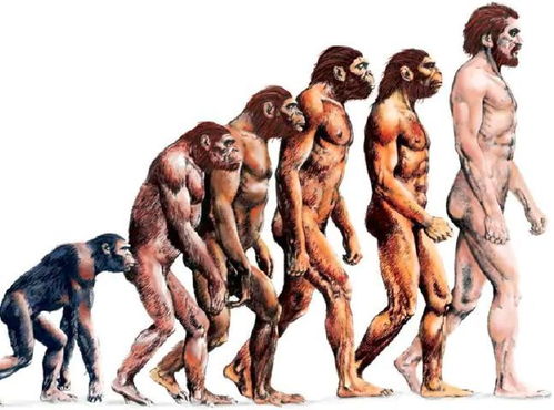 AI改写人类起源 黑猩猩并不是我们的祖先