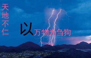 深读道德经 天地不仁以万物为刍狗 究竟何解