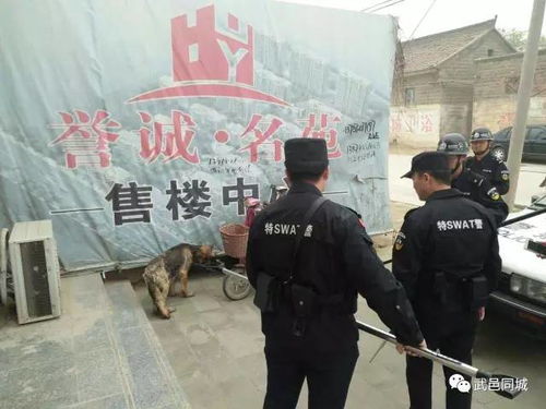 武邑 幼儿园附近流浪狗伤人,巡特警大队抓狗护安全