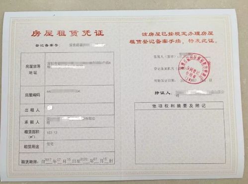 最新2021（历届）深圳宝安区小一学位申请条件及查询网址