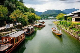 岚山小火车一票难求 这份购票指南你一定不能错过 (岚山免费停车场)