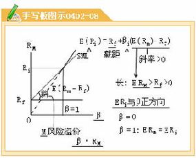 贝塔系数及其大小的含义是什么？