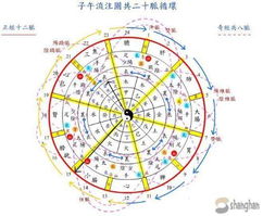 谁可以给我提供一张正确的 子午流注图 