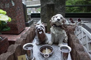 日本宠物墓地里的机器狗葬礼 谢谢你陪伴老去的我们