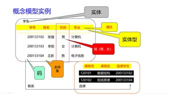 概念模型,什么是概念模型，物体模型，数学模型？