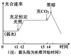 专题三 细胞的代谢试卷及参考答案 青夏教育精英家教网 