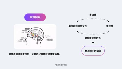 陌生人社交设计引力公式