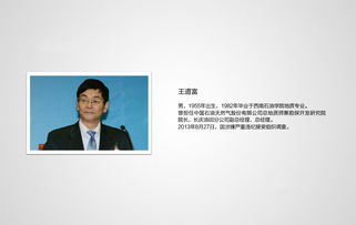 中国石油天然气股份有限公司长庆油田分公司勘探开发研究院怎么样？