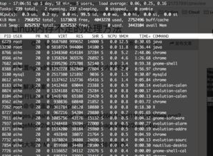 top命令查看内存占用