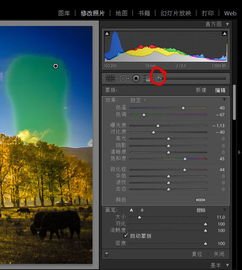 lightroom用HSL调色,如何只调照片部分的颜色 