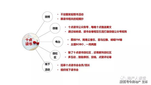 社群营销的方法 技巧与实践 