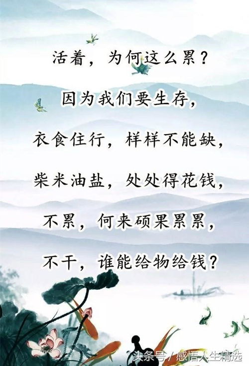 明自造句子_心清则明什么意思？