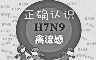 什么是h7n9禽流感 什么是H7N9禽流感病毒