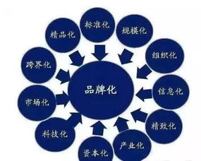 JN江南体育官方app下载：厚爱公益·为爱奔跑 厚木财富全国公益健康跑活动热力开跑(图14)