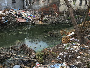 南京两公里长河道被数十个茅厕围困成 粪河 