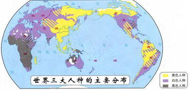 世界黑白黄种人分布(世界黑黄白人口比例)