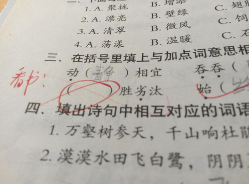 好词语解释意思  好米的意思？