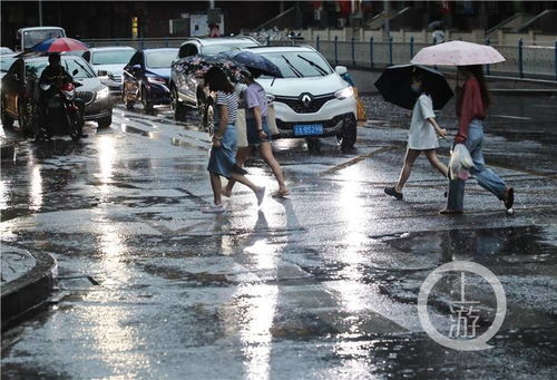 今早你被堵在路上了吗 重庆暴雨袭城多处交通困难