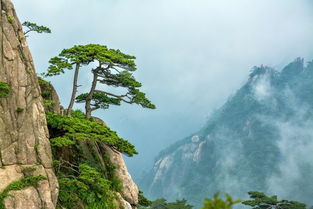 七月去哪里旅游最好，七月中国最佳旅游地点