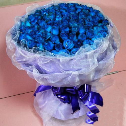 蓝色妖姬是什么花,蓝色妖姬是什么颜色？