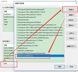 win10安装neo4j