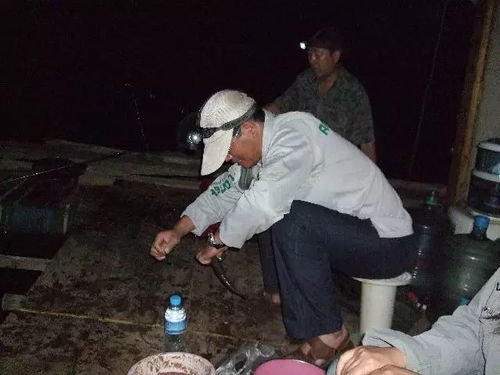 坐在屋里,躺在床上钓鱼,神仙呀