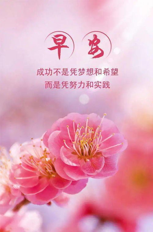 乐观的句子简短唯美