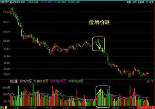 学买股票要不要把所有指标学会啊