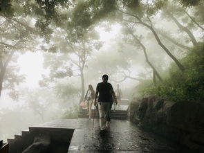 关于登山观海的诗句