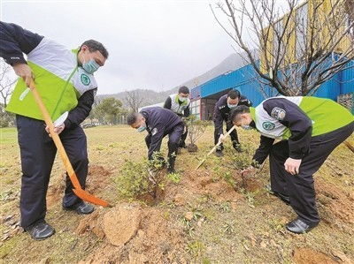 线上 云植树 线下 植改养 这个植树节你找到护绿新方式了吗