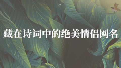 盘点藏在古诗词里意境唯美的情侣网名 不包分配哦