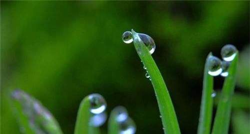 通过雨这一意象,表达了诗人的博大胸怀,更留下了不朽诗篇