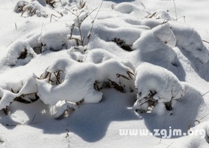 梦见下雪或积雪