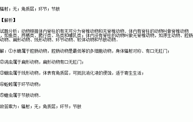 无脊椎动物分类示意图 图片搜索