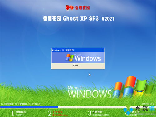 windows xp sp3激活器 中文最新版