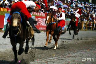 2013大理三月街民族节,大理三月街是哪天 