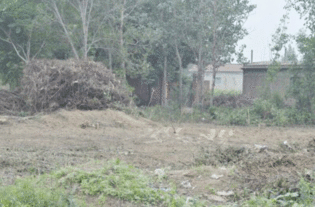 夏津管新村 公路坑洼不平 房前屋后柴草乱堆