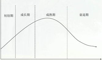 简述行业发展生命周期包括哪几个阶段