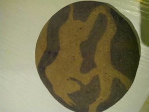 这个石头是我在河里捡的纯天然的,没有加工过,求鉴定 