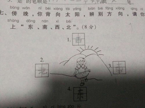 傍晚你背向太阳辨别方向填东南西北 