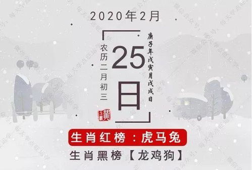 2月25日生肖运势 生肖兔感情上有新进展