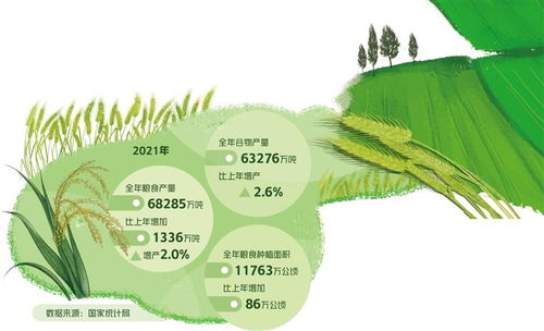 从维护国家安全高度保障粮食安全 