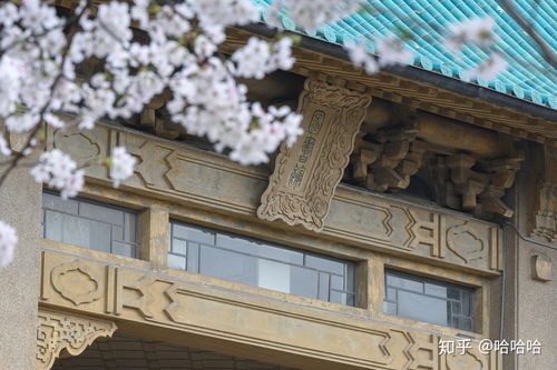 武大博士录取通知书 武汉大学研究生考北大博士难吗